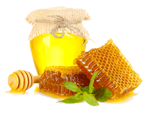 vente de miel biologique de normandie