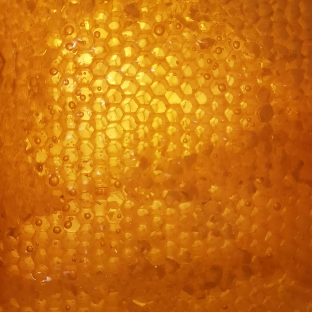 La récolte et l'extraction sont terminées! Maintenant, je vais m'attaquer à la mise en pot...encore un peu de patience avant de déguster les crus 2022!

#abeilles🐝 #abeilles #abeillesnoires #abeillesnormandes #bees #bees🐝 #honey #mieldabeille #apiculture #apicultures #apiculturefrance #apiculturebio #apiculturedurable #apiculteur #apicultrice #apicultrices #apiculteurs #apiculteursnormands #apiculteurspassionnés #sauvonslesabeilles #produitbio #produitbiologique #produitnormand #produitduterroir #produitlocaux #produitlocal