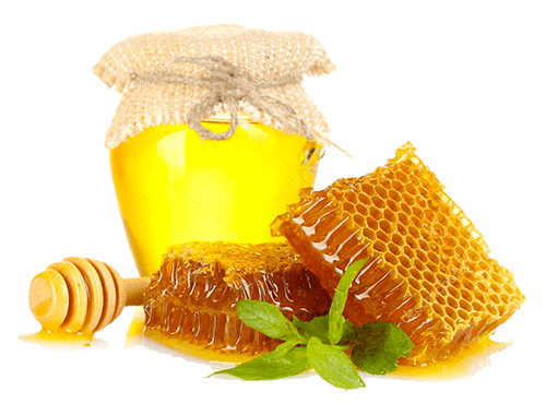 vente de miel biologique de normandie