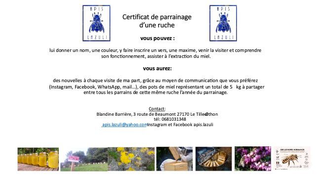 certificat de parrainage de ruche d'abeilles noires